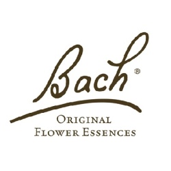bach_honeysuckle_kamperfoelie_20ml.png