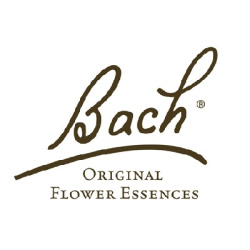bach_scleranthus_hardbloem_20ml.png