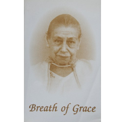 breath_of_grace__pandit.png