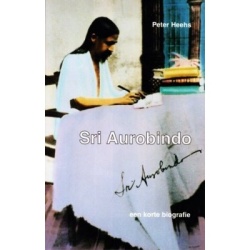 een_korte_biografie_van_sri_aurobindo__p_heehs.png