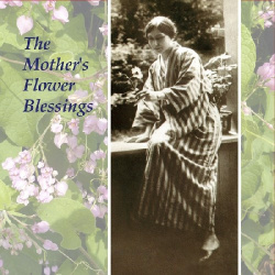 the_mother__s_flower_blessing_cards__2x64cards_.png