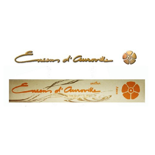 amber_encens_d__auroville_10gr__10x10gr_.png