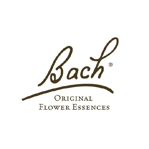 bach_centaury_duizendguldenkruid_20ml.png
