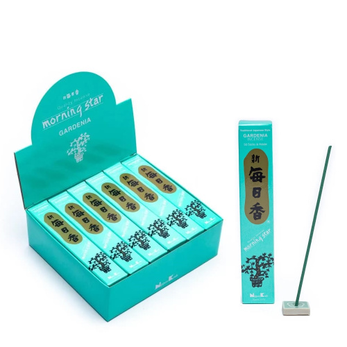 gardenia_morning_star_50st__12_.png